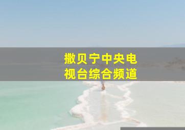 撒贝宁中央电视台综合频道