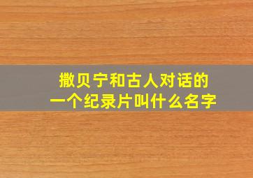 撒贝宁和古人对话的一个纪录片叫什么名字