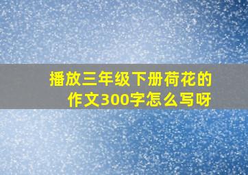 播放三年级下册荷花的作文300字怎么写呀