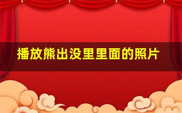 播放熊出没里里面的照片