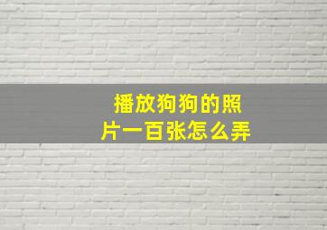 播放狗狗的照片一百张怎么弄