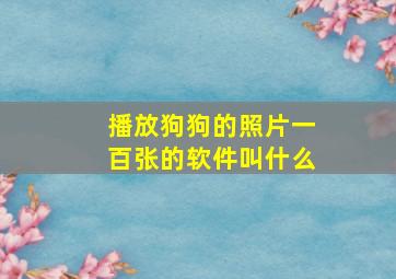 播放狗狗的照片一百张的软件叫什么