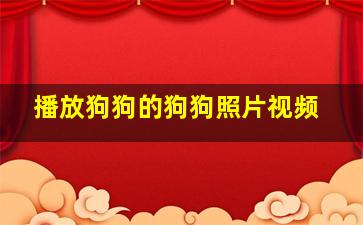 播放狗狗的狗狗照片视频