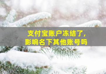 支付宝账户冻结了,影响名下其他账号吗