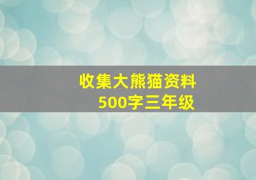 收集大熊猫资料500字三年级