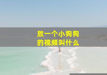 放一个小狗狗的视频叫什么