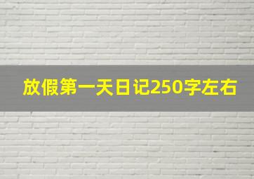 放假第一天日记250字左右