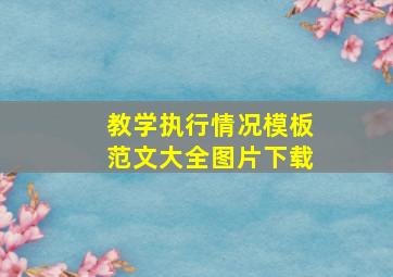 教学执行情况模板范文大全图片下载