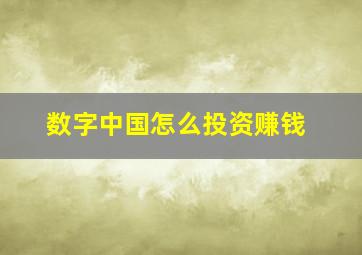 数字中国怎么投资赚钱