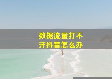 数据流量打不开抖音怎么办