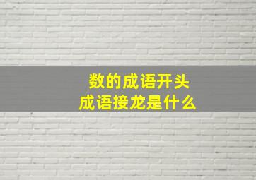 数的成语开头成语接龙是什么