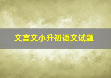 文言文小升初语文试题