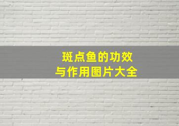 斑点鱼的功效与作用图片大全