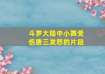 斗罗大陆中小舞受伤唐三发怒的片段