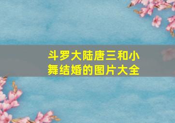 斗罗大陆唐三和小舞结婚的图片大全