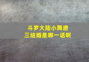 斗罗大陆小舞唐三结婚是哪一话啊