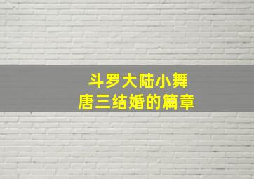 斗罗大陆小舞唐三结婚的篇章