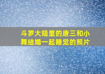 斗罗大陆里的唐三和小舞结婚一起睡觉的照片