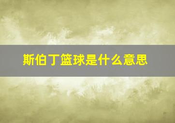 斯伯丁篮球是什么意思