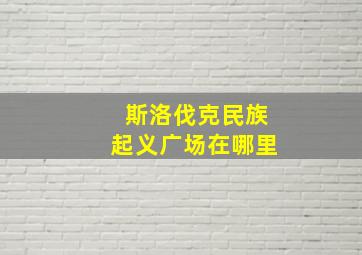 斯洛伐克民族起义广场在哪里