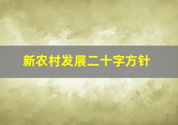 新农村发展二十字方针