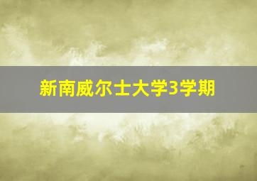 新南威尔士大学3学期