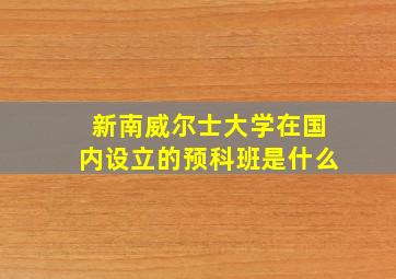 新南威尔士大学在国内设立的预科班是什么