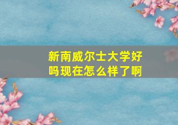 新南威尔士大学好吗现在怎么样了啊