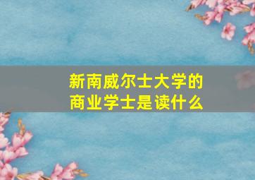 新南威尔士大学的商业学士是读什么