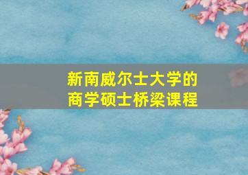 新南威尔士大学的商学硕士桥梁课程