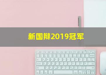 新国辩2019冠军