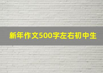 新年作文500字左右初中生