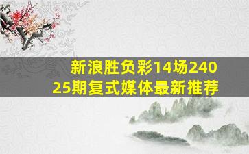 新浪胜负彩14场24025期复式媒体最新推荐