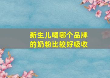 新生儿喝哪个品牌的奶粉比较好吸收