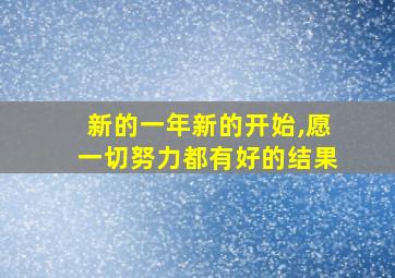 新的一年新的开始,愿一切努力都有好的结果