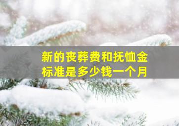 新的丧葬费和抚恤金标准是多少钱一个月