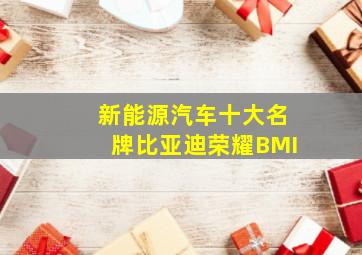 新能源汽车十大名牌比亚迪荣耀BMI