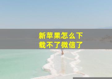 新苹果怎么下载不了微信了