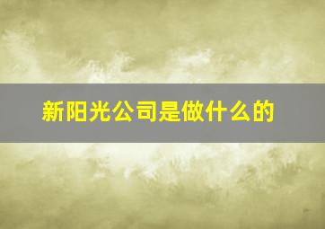 新阳光公司是做什么的