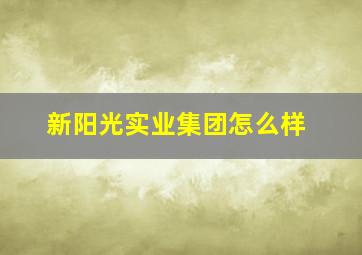 新阳光实业集团怎么样