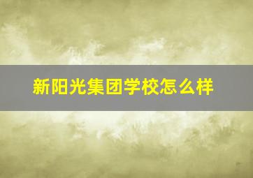 新阳光集团学校怎么样