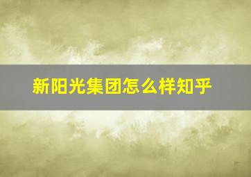 新阳光集团怎么样知乎