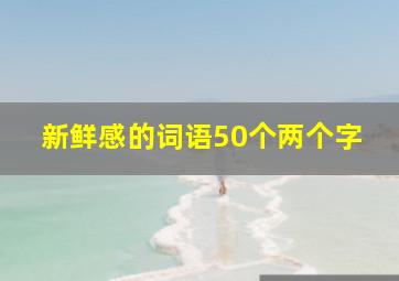 新鲜感的词语50个两个字