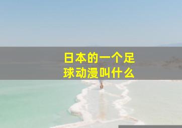 日本的一个足球动漫叫什么