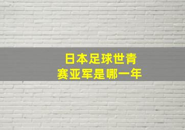 日本足球世青赛亚军是哪一年