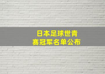 日本足球世青赛冠军名单公布