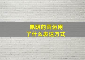 昆明的雨运用了什么表达方式