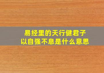 易经里的天行健君子以自强不息是什么意思