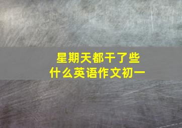 星期天都干了些什么英语作文初一