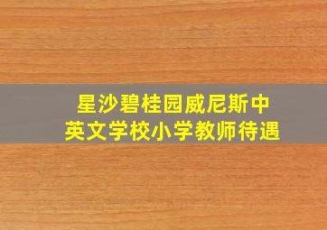 星沙碧桂园威尼斯中英文学校小学教师待遇